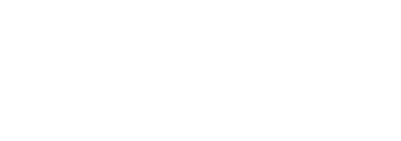 lingo